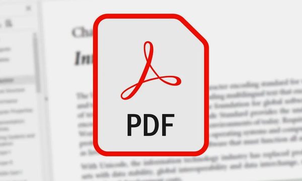 documento-pdf-visor